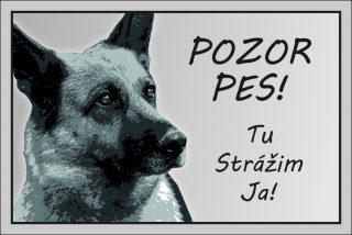 Pozor pes! (s vlastnou fotografiou psa) #PV002